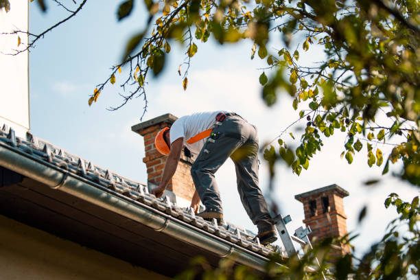 Roof Waterproofing Services in Brevard, NC