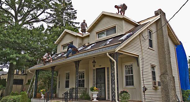 Best Roof Maintenance Services  in Brevard, NC
